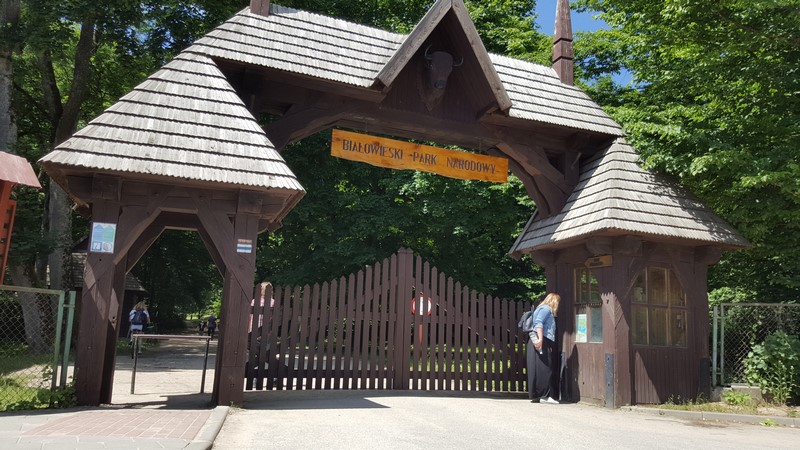 Natura dla niepełnosprawnych - Białowieża